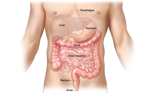 Laparoscopy